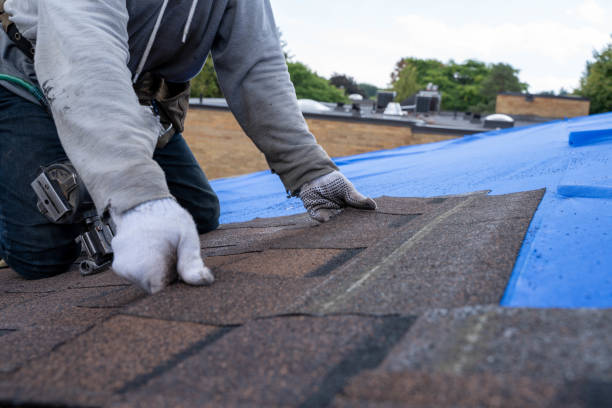 Best Roof Waterproofing Services  in Bayou Blue, LA